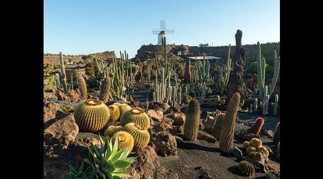 The Cactus Garden - a short stroll away
