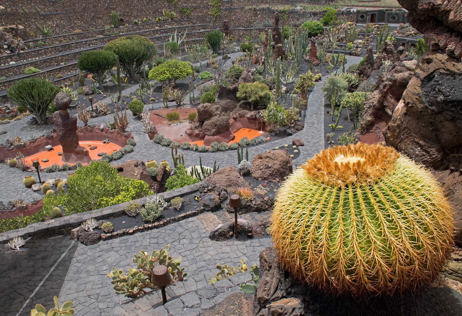 Cactus Garden, Guatiza, Lanzarote