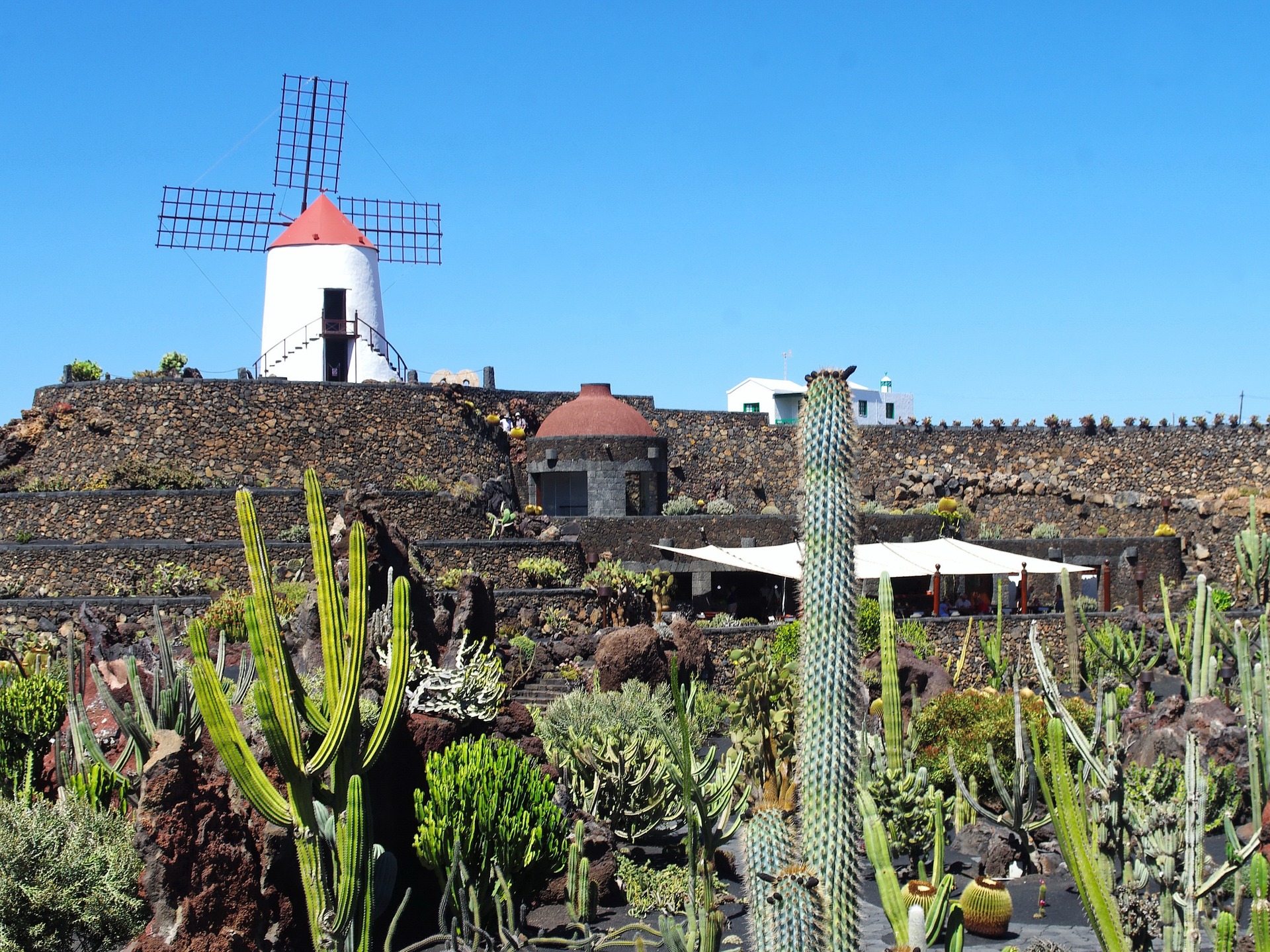 Cactus Garden Lanzarote