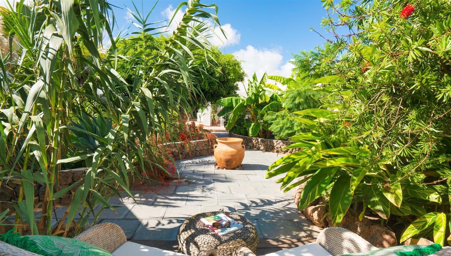 Views of palms and bananas in The Secret Garden Villa at Finca Botanico, Lanzarote