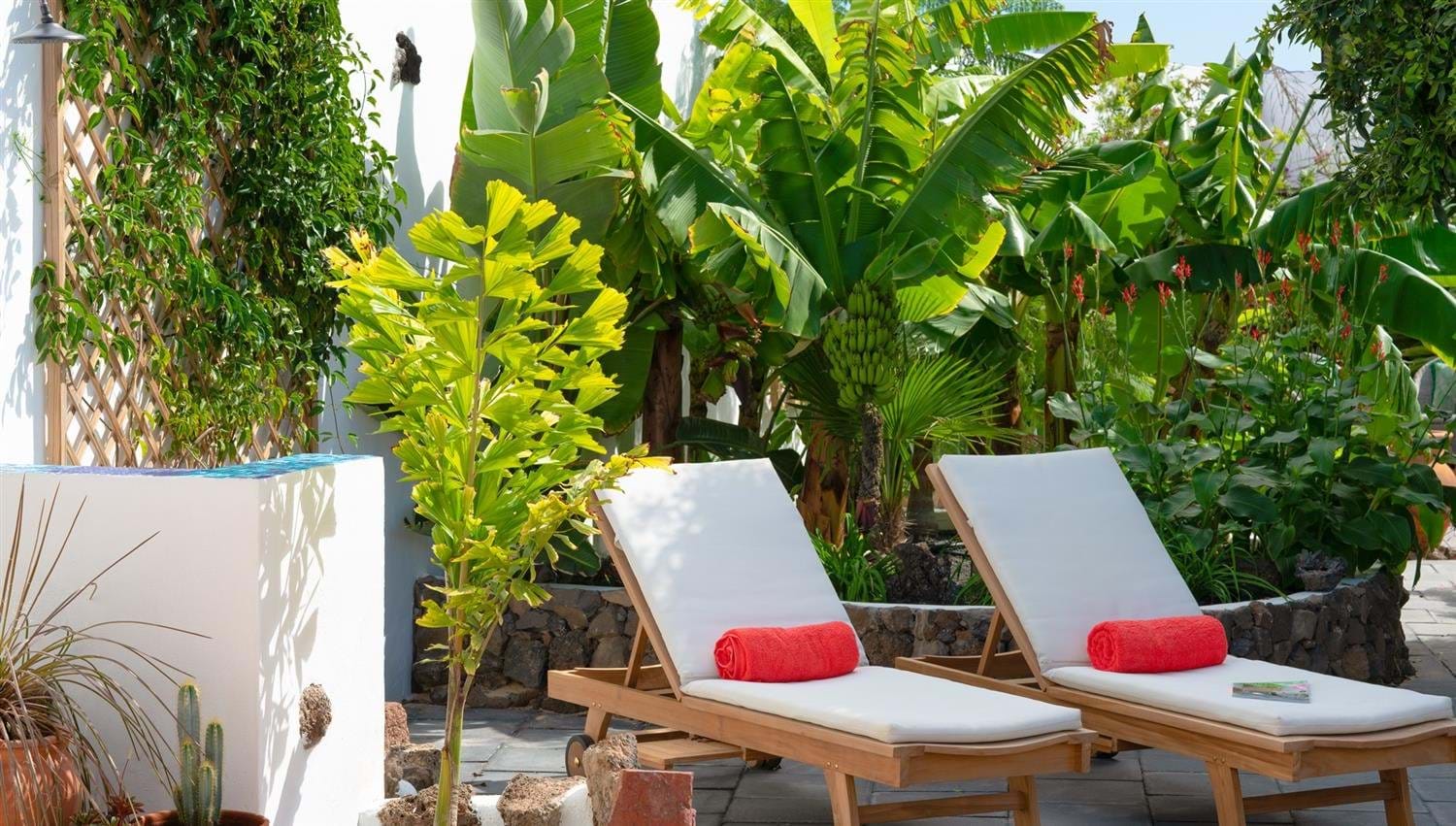 Sun loungers, Secret Garden Villa, Finca Botanico Sun loungers surrounded by bananas and palms at Finca Botanico, Lanzarote