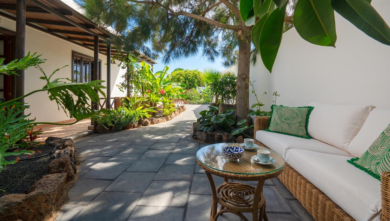 Comfortable sofa in the shade of a pine tree at Finca Botanico in Lanzarote at 