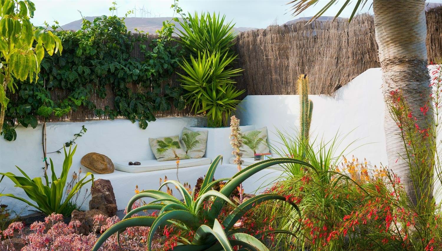 Sunny corner spot in the tropical garden at Finca Botanico in Lanzarote