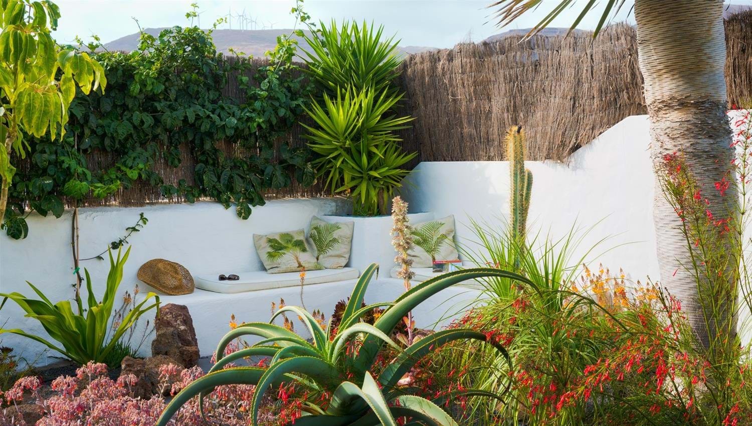 Built in banquette, Garden Apartment, Finca Botanico, Lanzarote Sunny corner spot in the tropical garden at Finca Botanico in Lanzarote
