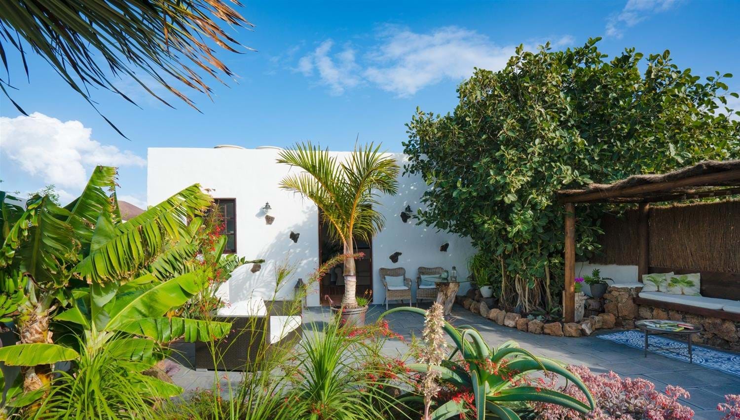 Vista del Apartamento Jardin a Finca Botanico en Lanzarote