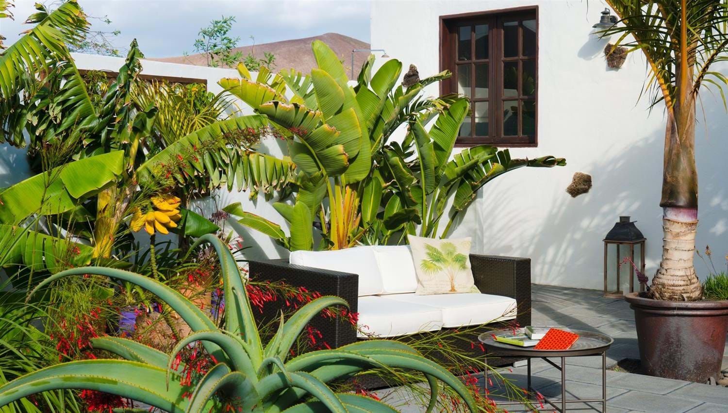 A comfy outdoor sofa surrounded by tropical plants at Finca Botanico in Lanzarote