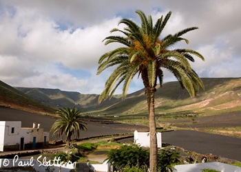 Tabayesco, Lanzarote