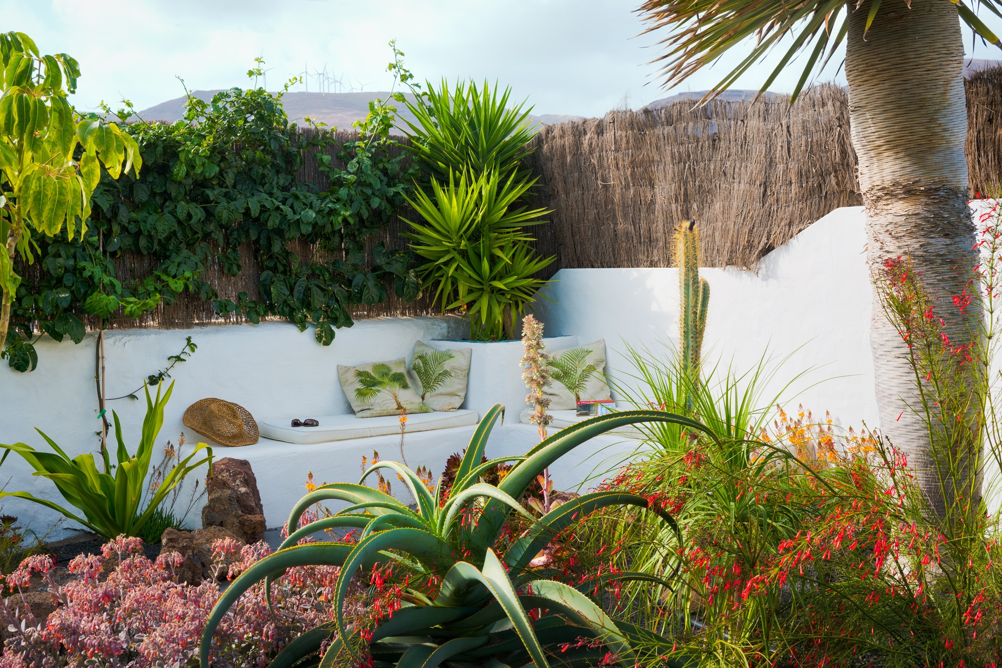 Garden Apartment, Finca Botanico, Guatiza, Lanzarote
