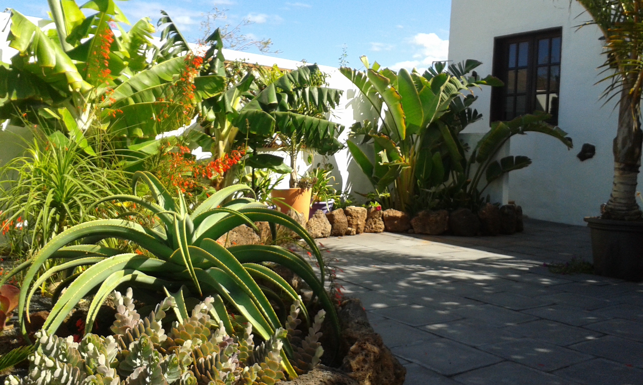 Garden Apartment, Finca Botanico, Guatiza, Lanzarote