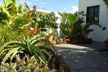 Garden Apartment, Finca Botanico, Guatiza, Lanzarote