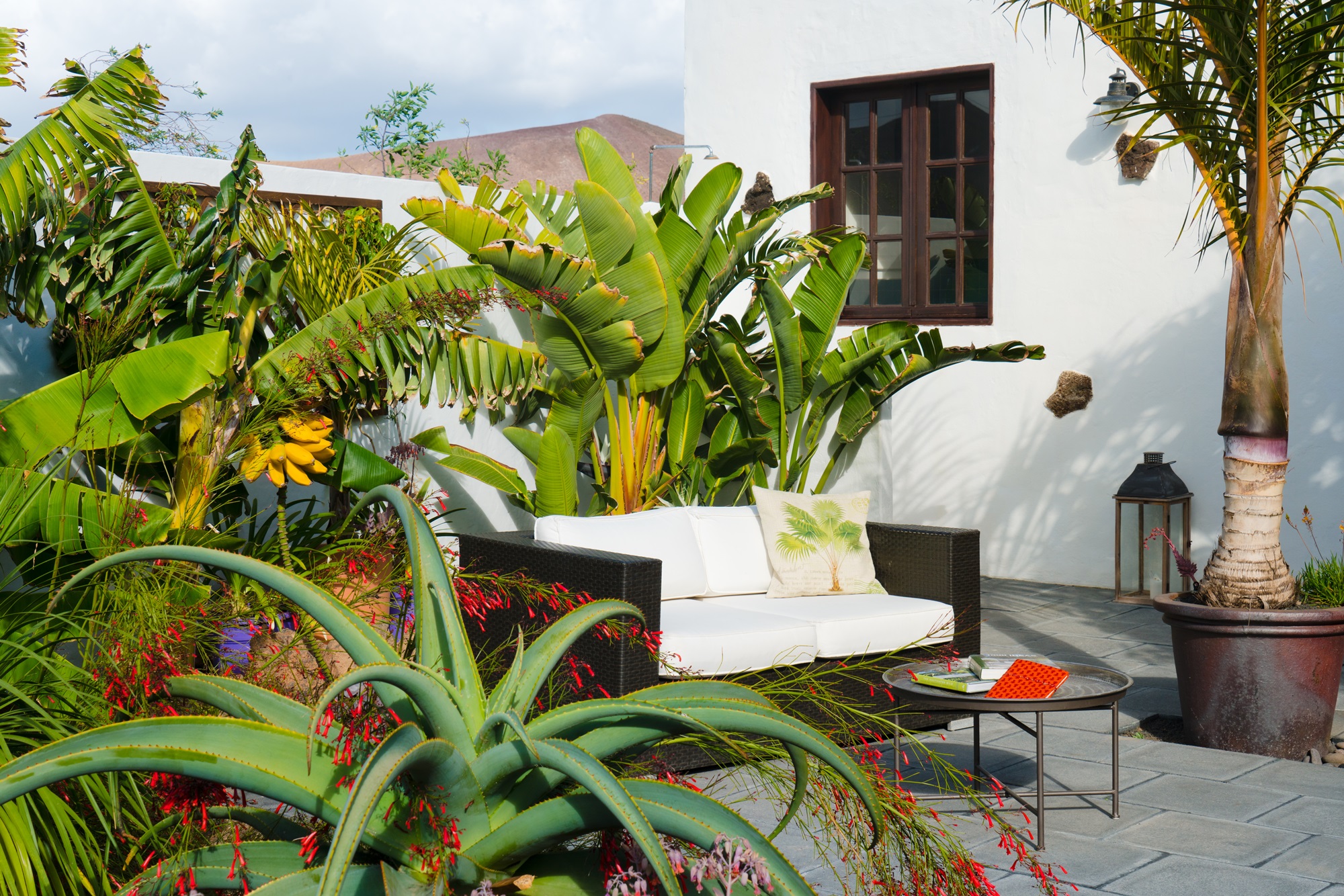 Garden Apartment, Finca Botanico, Guatiza, Lanzarote