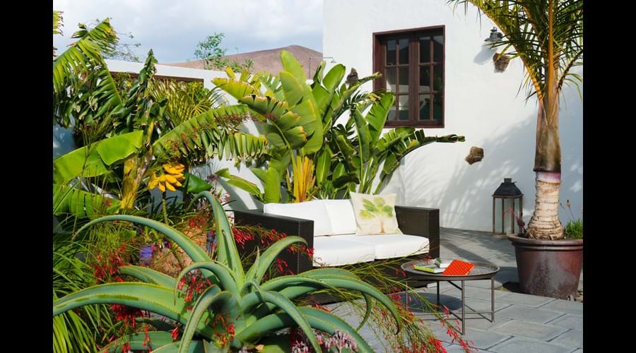 Garden Apartment, Finca Botanico, Guatiza, Lanzarote