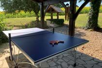 Anyone for table tennis?