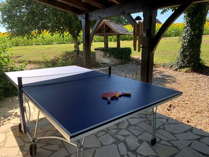 Anyone for table tennis?