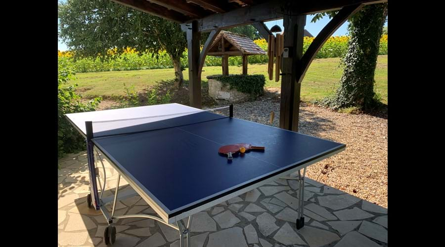 Anyone for table tennis?