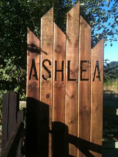 Welcome to Ashlea Studio