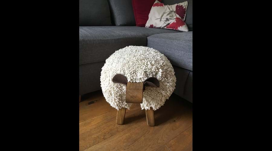 Our resident sheep, Idris!