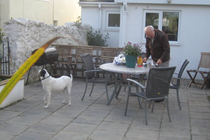 The garden is in the sunshine for almost all of the day