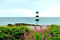 Overlooking Puffin Island a view from Fisherman Cottage