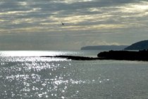 one of the many beaches on Anglesey