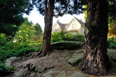 long distance shot of stone house between two mature trees