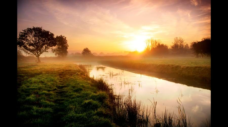 Early morning mists over the grazing marsh