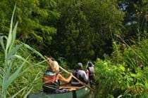 Explore the Broads by canoe