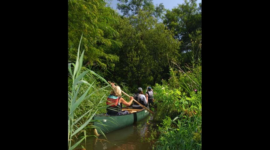 Explore the Broads by canoe