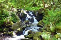 Copse Cottage, holiday home in Alcombe Minehead