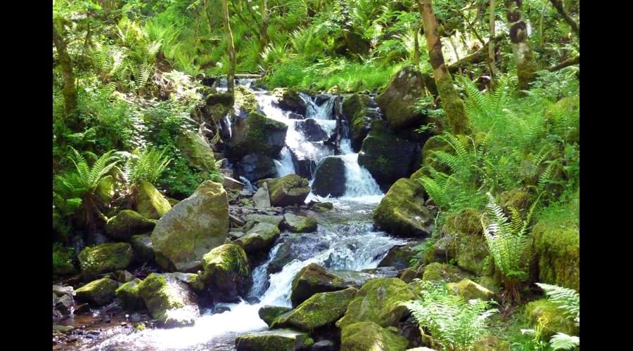 Copse Cottage, holiday home in Alcombe Minehead