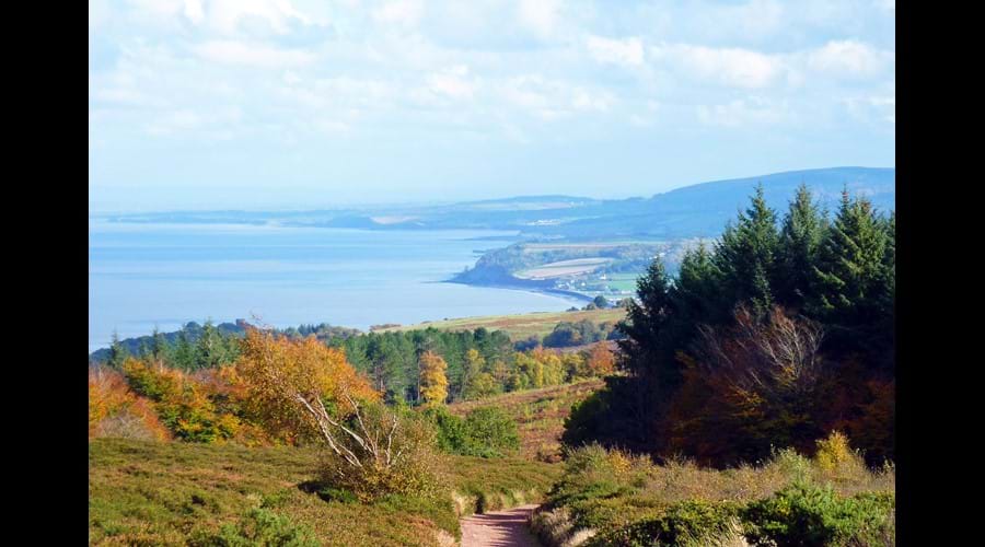 Copse Cottage, holiday home in Alcombe Minehead