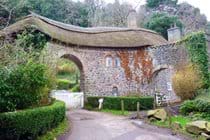 Copse Cottage, holiday home in Alcombe Minehead
