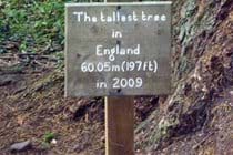 Copse Cottage, holiday home in Alcombe Minehead