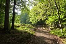 Copse Cottage, holiday home in Alcombe Minehead