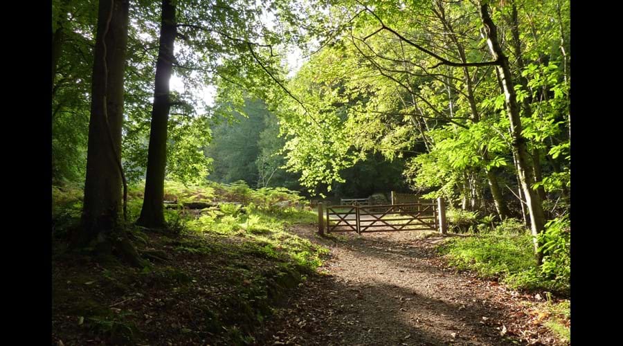 Copse Cottage, holiday home in Alcombe Minehead