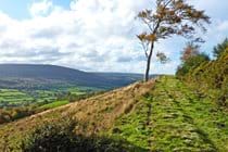Copse Cottage, holiday home in Alcombe Minehead