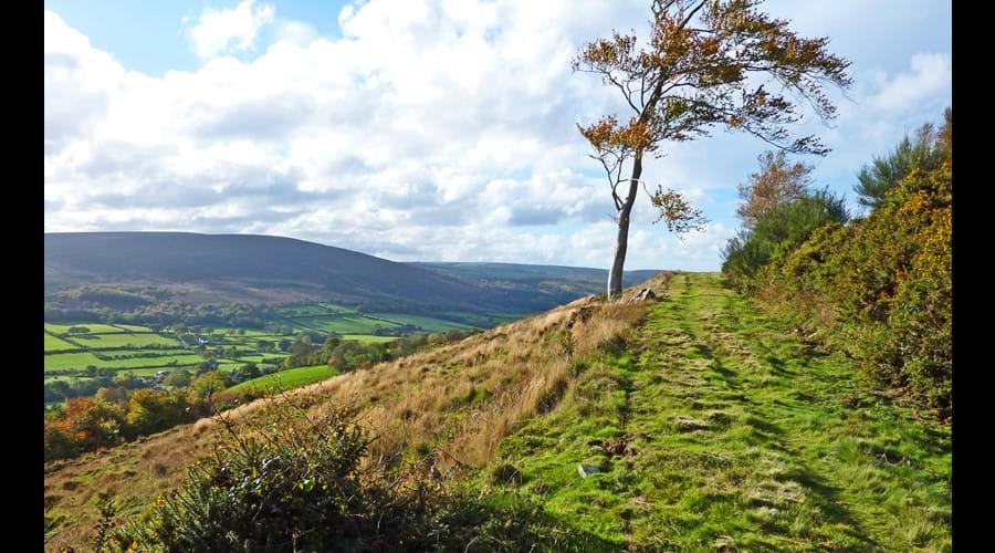 Copse Cottage, holiday home in Alcombe Minehead