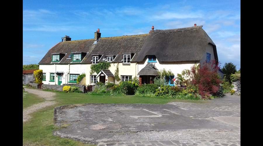 Copse Cottage, holiday home in Alcombe Minehead