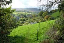 Copse Cottage, holiday home in Alcombe Minehead