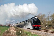 Copse Cottage, holiday home in Alcombe Minehead