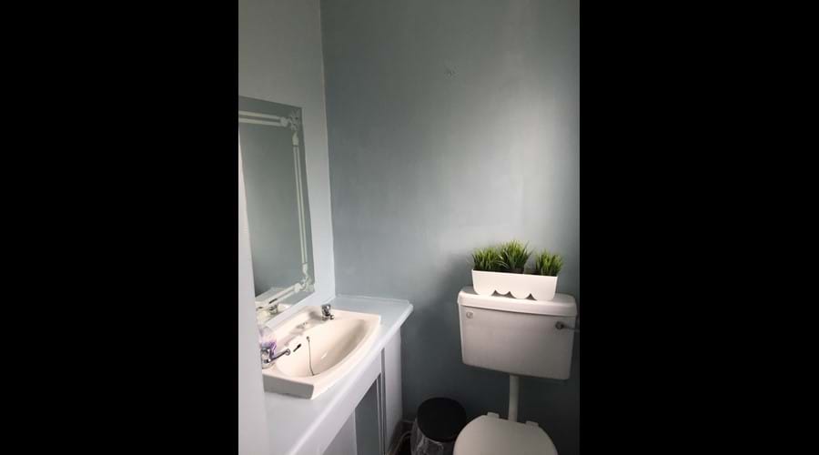 Downstairs loo