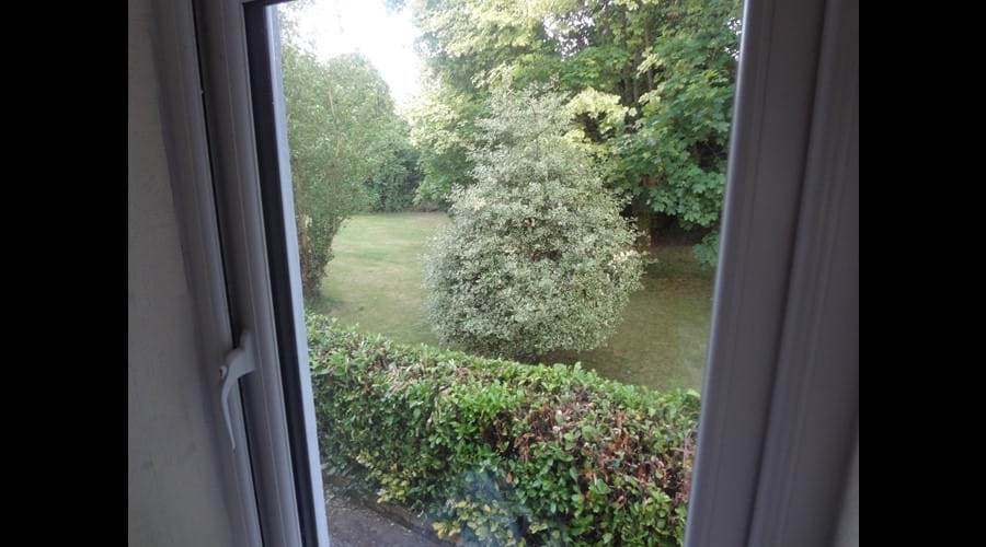 The Garden