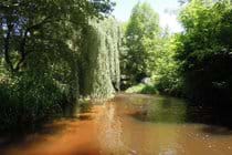 Rarely does the river exceed waist height, ideal for exploring
