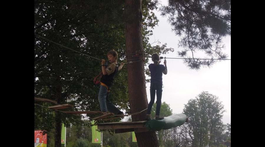 Shall we leave them in the tree?  Accrobranch if you are brave enough