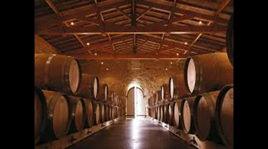 This should keep you in wine for the week!