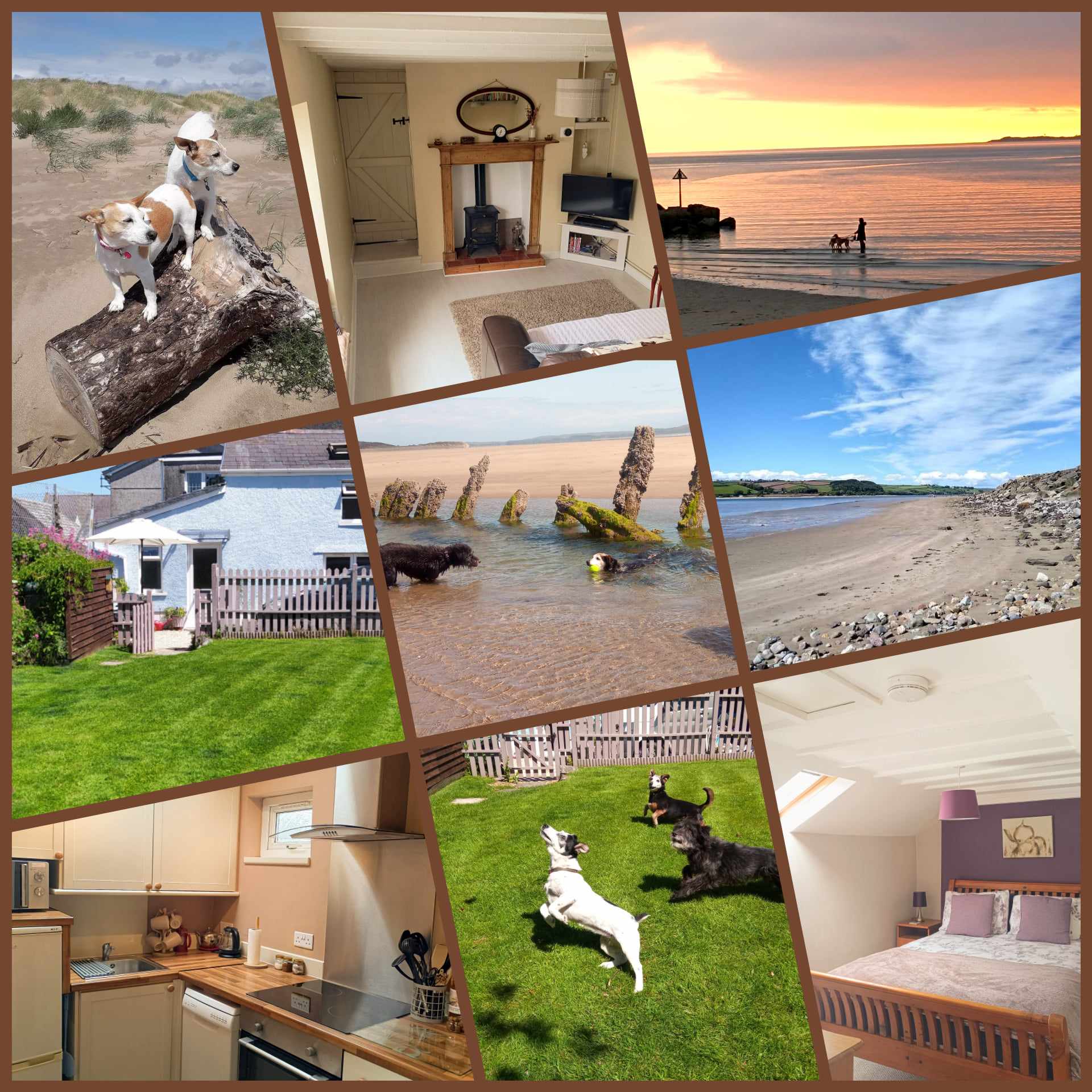 dog friendly cottages in wales