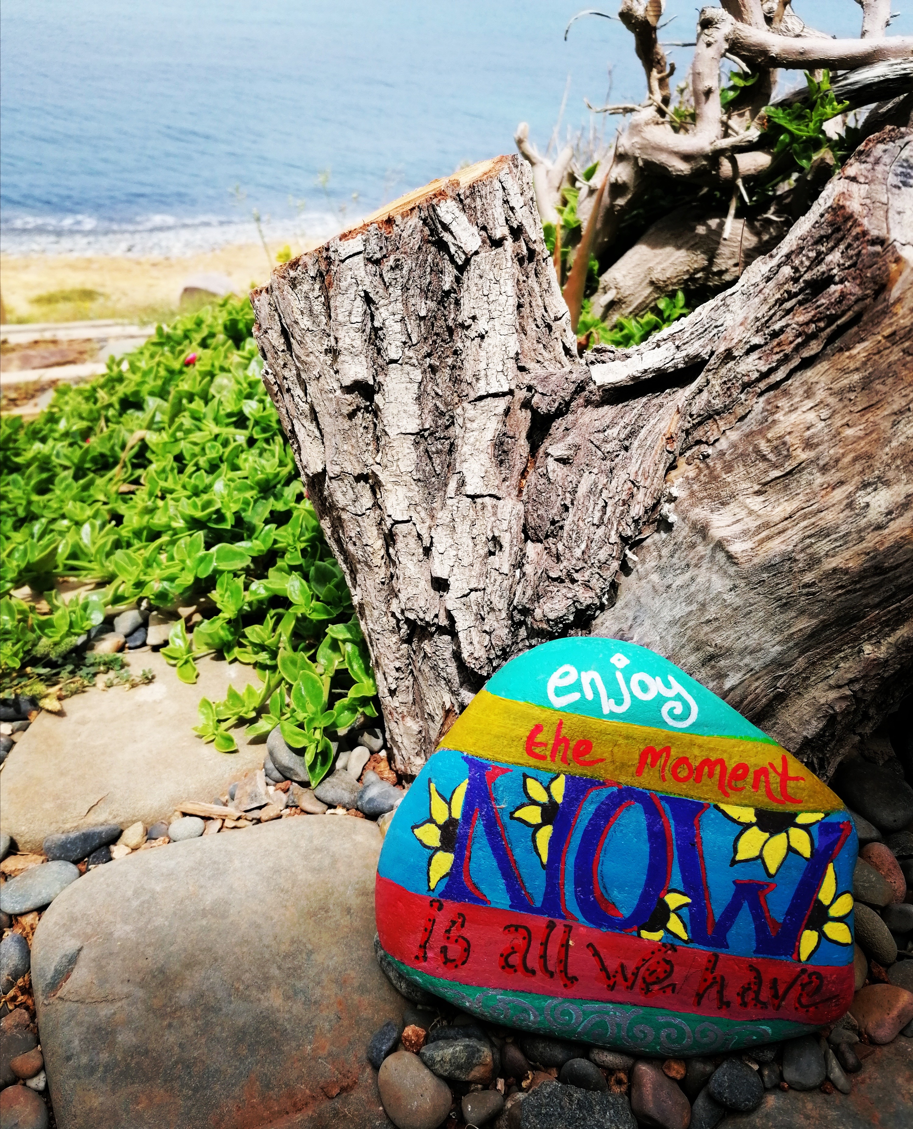 Take a sea stone painting workshop 