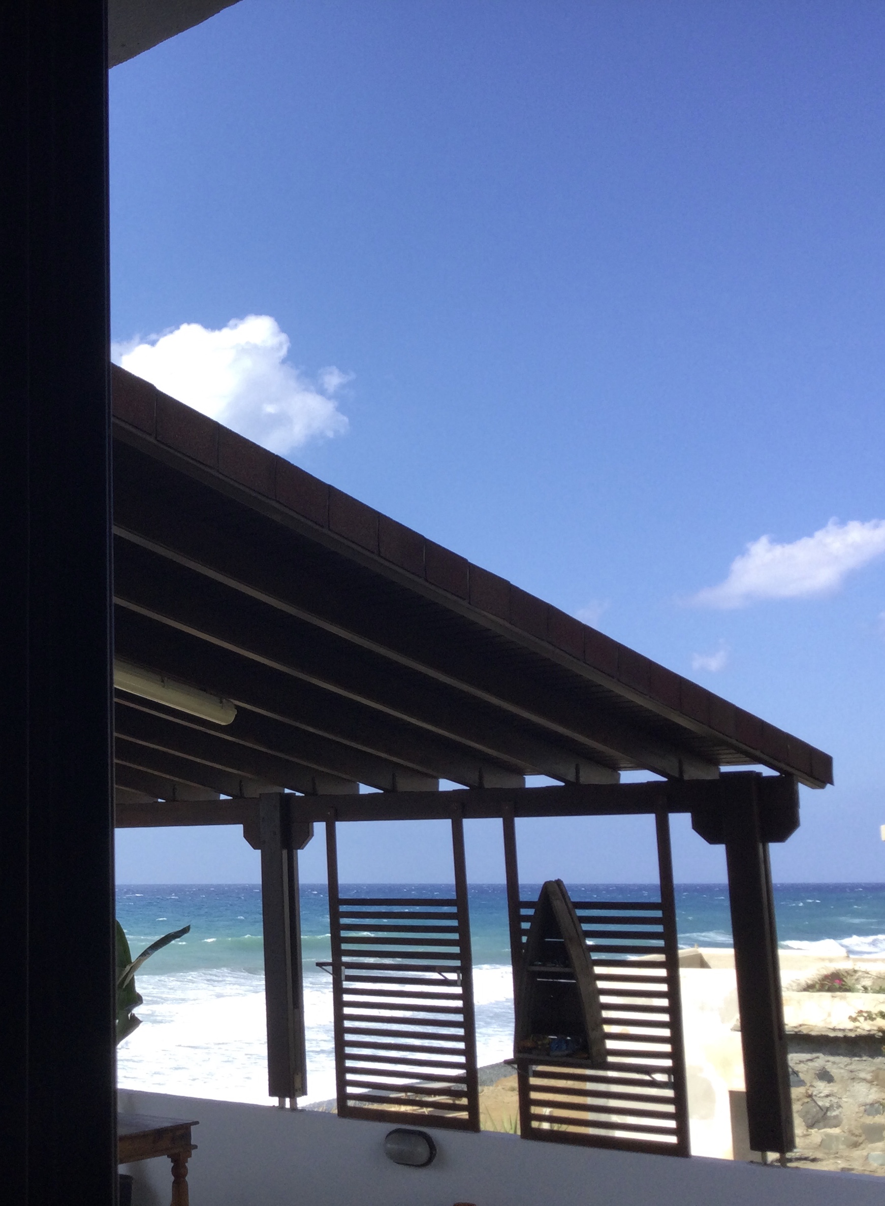 View from Kitchen window