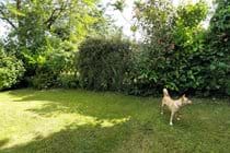 Private well fenced rear garden, backing onto farm land