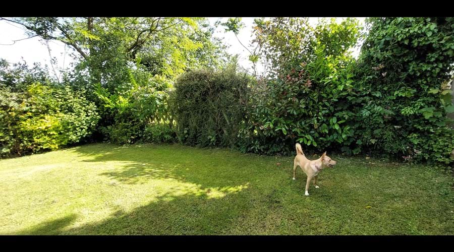 Private well fenced rear garden, backing onto farm land